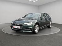 Gebraucht Audi A4 Sport 150 PS (110 kW) 2017 Grün Kombi