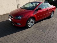 Gebraucht Ford Focus Cabriolet 101 PS (74 kW) 2008 Rot Cabrio