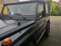 gebraucht Mercedes G250 D Wolf