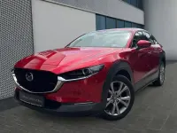 Gebraucht Mazda CX-30 Selection 150 PS (110 kW) 2021 Rot SUV