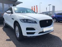 Gebraucht Jaguar F-Pace 180 PS (132 kW) 2017 Weiß SUV