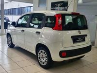 Gebraucht Fiat Panda Easy 69 PS (50 kW) 2019 Weiß Kleinwagen