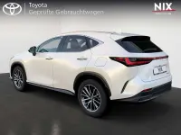 Gebraucht Lexus NX450h+ Business Edition 309 PS (227 kW) 2024 Titaniumweiß SUV