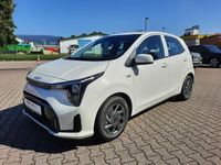Gebraucht Kia Picanto Vision 63 PS (46 kW) 2024 Weiß Kleinwagen