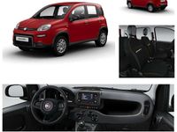 Neu Fiat Panda Icon 65 PS (47 kW) 2026 Passione rot (414) Kleinwagen