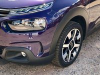 Gebraucht Citroën C4 Cactus Feel 110 PS (80 kW) 2018 Violett metallic Kleinwagen