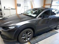 Gebraucht Mazda CX-30 2024 Grau SUV