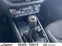 Gebraucht Skoda Scala Drive 116 PS (85 kW) 2026 Stahlgrau Kleinwagen