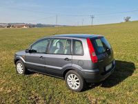 Gebraucht Ford Fusion 80 PS (58 kW) 2005 Grau Kleinwagen