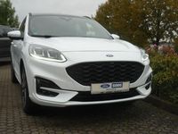Gebraucht Ford Kuga ST-Line X 152 PS (111 kW) 2023 Weiß SUV