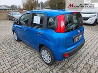 Neu Fiat Panda Pop 69 PS (50 kW) 2025 Blau Kleinwagen