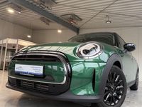 Gebraucht Mini Cooper 136 PS (100 kW) 2023 Grün Kleinwagen