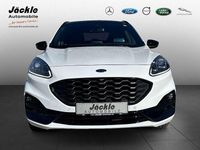 Gebraucht Ford Kuga ST-Line X 152 PS (111 kW) 2024 Frostweiß SUV