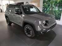 Gebraucht Jeep Renegade 241 PS (177 kW) 2023 Grau SUV
