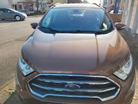 Gebraucht Ford Ecosport Cool & Connect 125 PS (91 kW) 2018 Braun SUV
