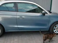 Gebraucht Audi A1 Sportback 105 PS (77 kW) 2013 Blau Kleinwagen