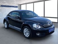 gebraucht VW Beetle 1.2TSi Navi+PDC+Tempomat+Sitzheiz