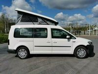 Gebraucht VW Caddy Maxi Trendline 102 PS (75 kW) 2020 Weiß Van / Kleinbus
