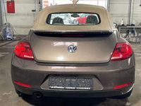 Gebraucht VW Beetle Cabriolet Design 105 PS (77 kW) 2014 Braun Cabrio