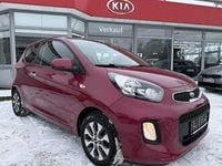 Gebraucht Kia Picanto Start 67 PS (49 kW) 2016 Violett Kleinwagen