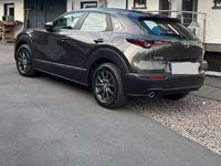 Gebraucht Mazda CX-30 116 PS (85 kW) 2020 Braun SUV