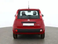 Neu Fiat Panda Connect 69 PS (50 kW) 2025 Andere Kleinwagen