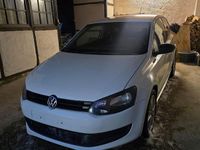 Gebraucht VW Polo 60 PS (44 kW) 2014 Weiß Kleinwagen