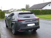 Gebraucht Lexus UX 250h 2023 Grau SUV