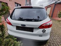 gebraucht Ford Focus 1,6TDCi 77kW ECOnetic 99g SYNC Ed. Tur...