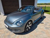 Gebraucht VW Beetle Allstar 150 PS (110 kW) 2016 Grau Kleinwagen