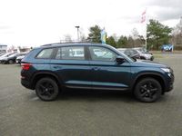 Gebraucht Skoda Kodiaq Active 150 PS (110 kW) 2019 Blau SUV