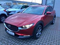 Gebraucht Mazda CX-30 Selection 186 PS (136 kW) 2021 Rot SUV