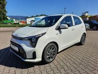 Brugt Kia Picanto Vision 63 HK (46 kW) 2024 Hvid Hatchback