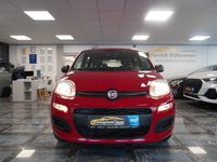 Gebraucht Fiat Panda Pop 69 PS (50 kW) 2016 Rot Kleinwagen