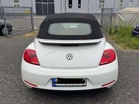 Usata VW Beetle Cabriolet 105 CV (77 kW) 2015 Bianco Cabrio