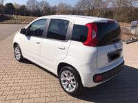 Gebraucht Fiat Panda 69 PS (50 kW) 2018 Weiß Kleinwagen