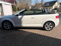 Gebraucht Audi A3 Cabriolet 105 PS (77 kW) 2010 Weiß Cabrio