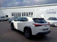 gebraucht Lexus UX 250h Luxury Line