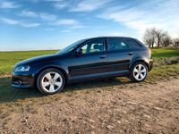 Gebraucht Audi A3 Ambiente 125 PS (91 kW) 2010 Schwarz Kleinwagen