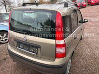 Gebraucht Fiat Panda Dynamic 60 PS (44 kW) 2009 Gold Limousine