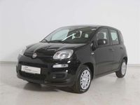 Neu Fiat Panda Icon 69 PS (50 kW) 2025 Schwarz Limousine