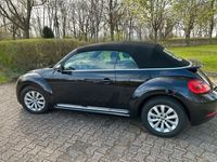 gebraucht VW Beetle Cabrio 1.6 TDI