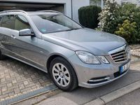 gebraucht Mercedes E220 E-KlasseCDI BlueEfficiency