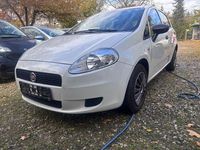 Gebraucht Fiat Punto Pop 69 PS (50 kW) 2013 Weiß Kleinwagen