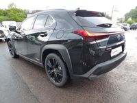 gebraucht Lexus UX 250h Style+ Edition