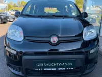 Gebraucht Fiat Panda Pop 69 PS (50 kW) 2023 Schwarz Kleinwagen