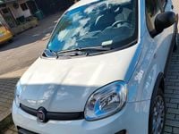 Gebraucht Fiat Panda 69 PS (50 kW) 2023 Weiß Kleinwagen