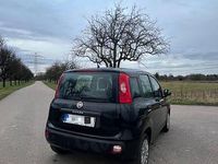 Gebraucht Fiat Panda Cross Cross 86 PS (63 kW) 2019 Schwarz Kleinwagen