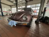 Używany VW Käfer 1983 Purpurowy Hatchback