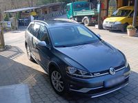 Gebraucht VW Golf VII Highline 184 PS (135 kW) 2019 Grau Kombi